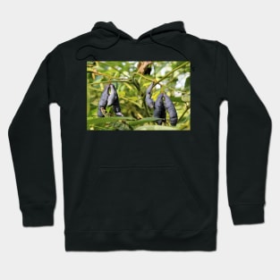 Decaisnea fargesii - Dead Man's Fingers Hoodie